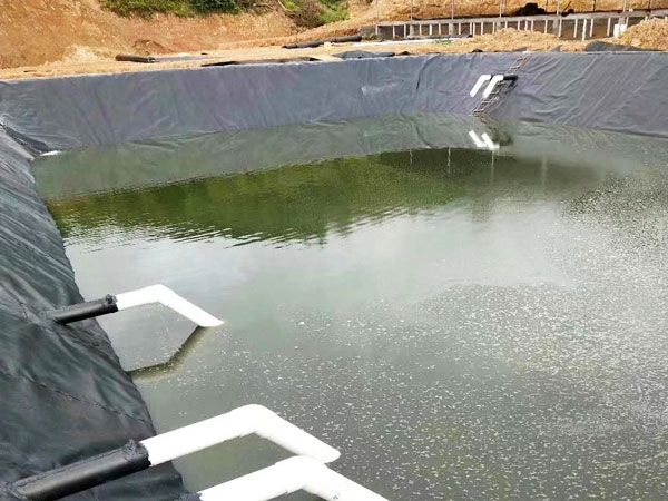 魚(yú)塘土工膜應(yīng)用